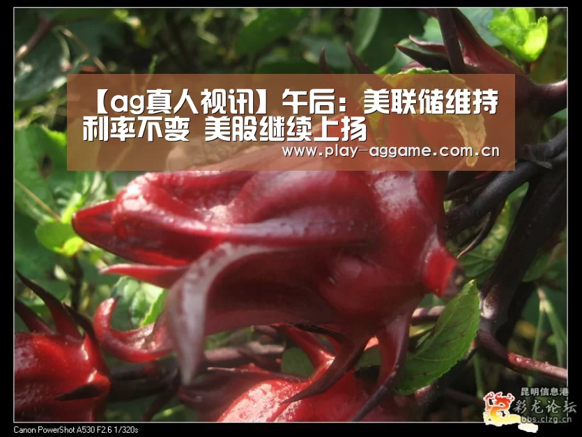【ag真人视讯】午后:美联储维持利率不变 美股继续上扬(图2) AG真人平台
