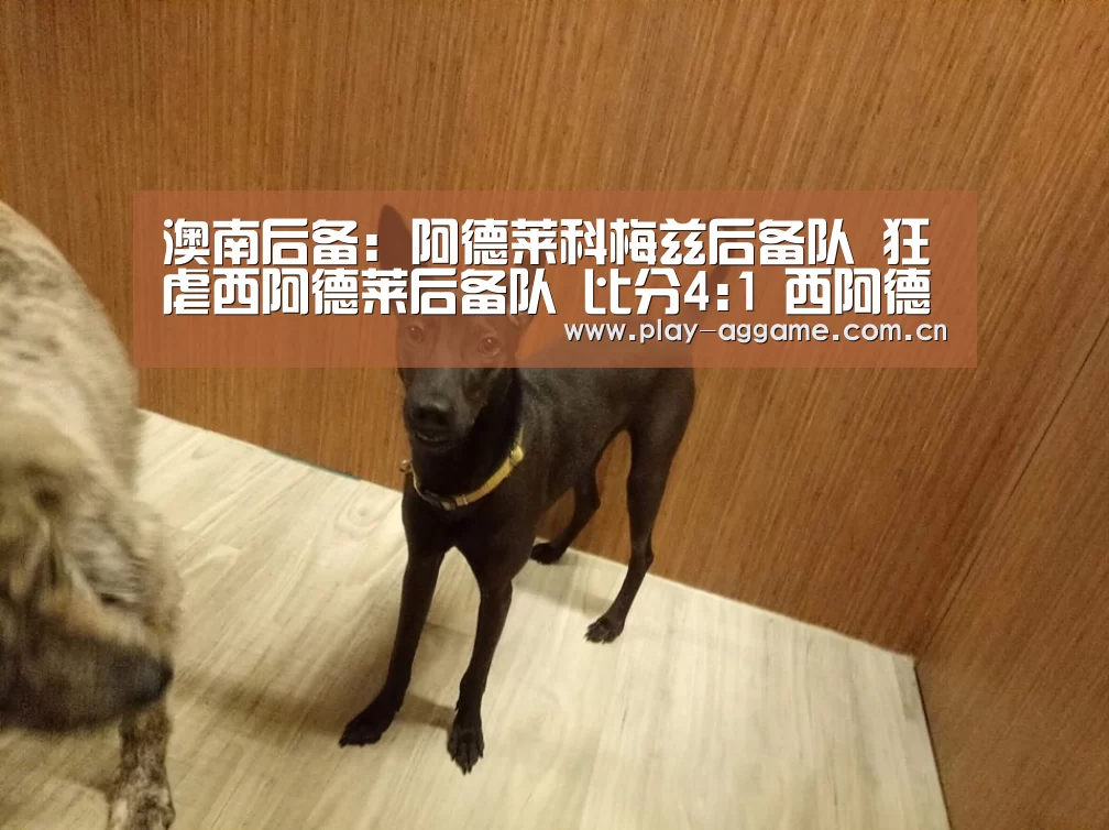 澳南后备: 阿德莱科梅兹后备队 狂虐西阿德莱后备队 比分4:1 西阿德莱后备队被虐|ag真人视讯(图1) ag真人视讯