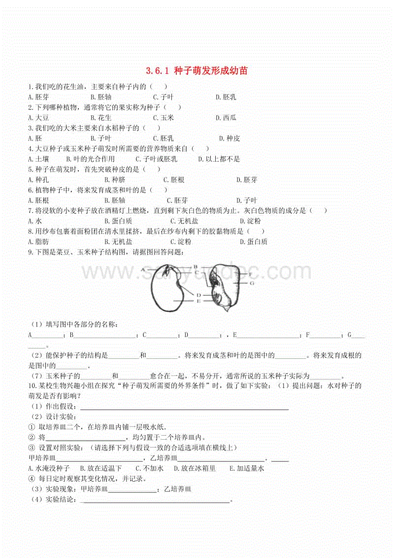 【AG真人平台】肯亚超: 高玛希亚 血洗瓦兹伊特4:0大比分获胜(图1) AG真人平台